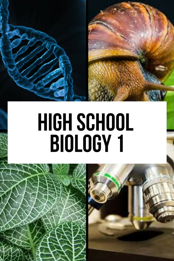 Biology 1 | FundaFunda Academy