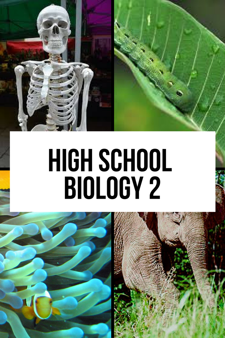 Biology 2 2026