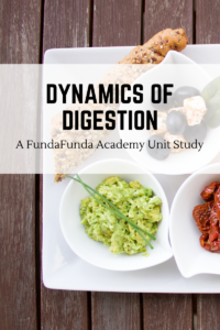 Dynamics of Digestion