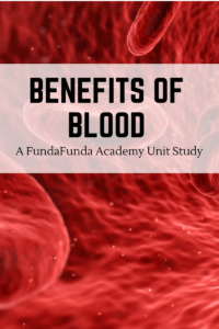 Circulatory System Unit Study