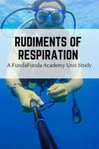 Respiration Unit Study