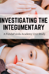 Investigating the Integumetary