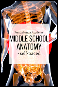 Middle School Anatomy