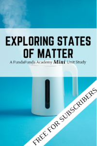 Exploring States of Matter mini unit study