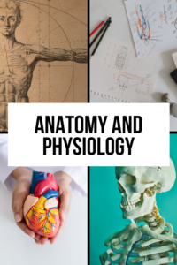 Anatomy and Physiology Online Class for Homeschoolers